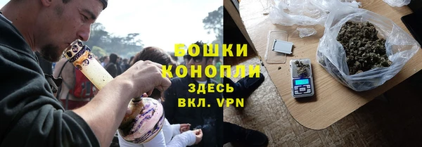 шишки Михайловка