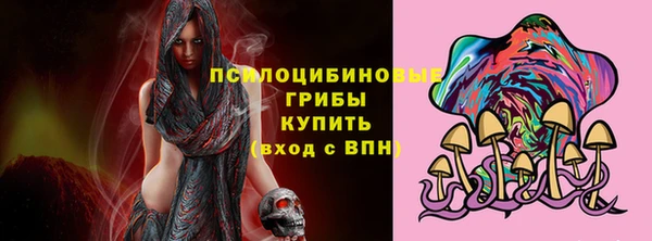 шишки Михайловка