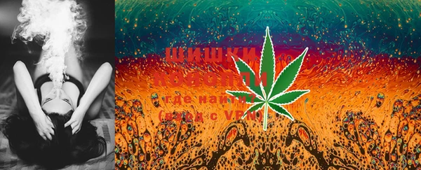 шишки Михайловка