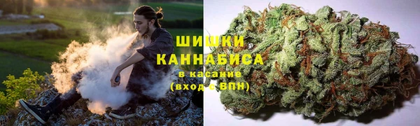 шишки Михайловка