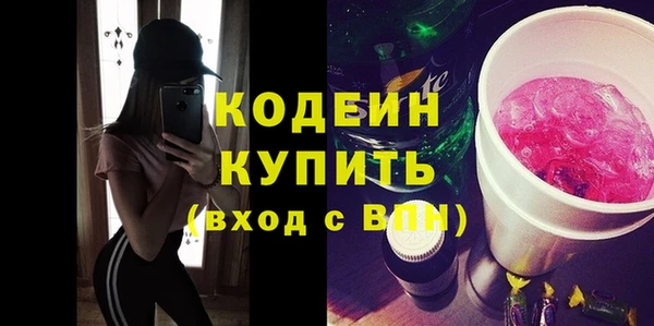 ГАЛЛЮЦИНОГЕННЫЕ ГРИБЫ Михайлов